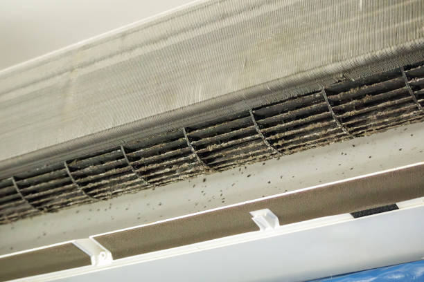Best Dryer Vent Cleaning Services  in Fox Farm College, WY